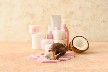 Giant Achatina snail, coconut and cosmetics on color background