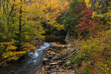 Fototapeta na wymiar vibrant autumn foliage and peaceful cascading waterfalls in the Great Smoky Mountain National Park in Tennessee.