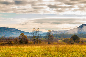 dramatic and vibrant autumn foliage in the Cades Cove in the Great  Smoky Mountain National park  in Tennessee.