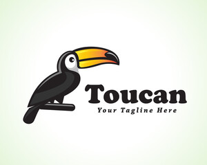 toucan bird sit at branch logo symbol design illustration inspiration