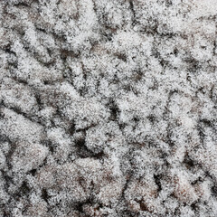 Winter frosty day. On a surface of a large stone the hoarfrost crystals repeating roughnesses of a surface were formed. The original abstract picture turned out.