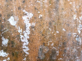 rusty tree background
