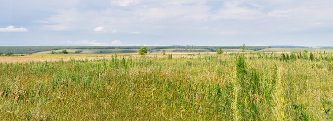 Fototapeta premium The Bugulma-Belebey Upland, the North-East of the Samara region.