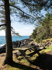Picnic table along the hiking trail in Lime Kiln Point State Park on San Juan Island - WA, USA