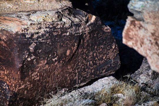 petroglyphs etched by the indigenous North American people  in one of the boulders in the Petrified National Forest in Arizona.