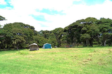 New Zealand camping scene