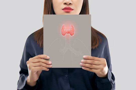 Illustration thyroid on a gray paper