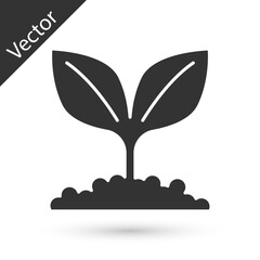 Grey Plant icon isolated on white background. Seed and seedling. Leaves sign. Leaf nature. Vector