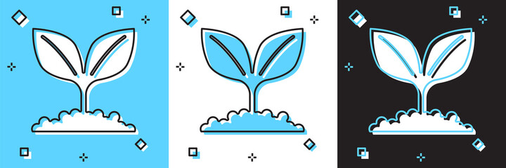 Set Plant icon isolated on blue and white, black background. Seed and seedling. Leaves sign. Leaf nature. Vector