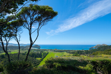 Wide angle view from hill above M<edlands on Great Barrier