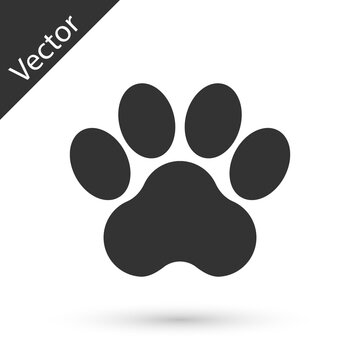 Grey Paw print icon isolated on white background. Dog or cat paw print. Animal track. Vector