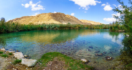 Fototapeta na wymiar Brackish water pool, in Einot Tzukim (Ein Feshkha) Nature Reserve