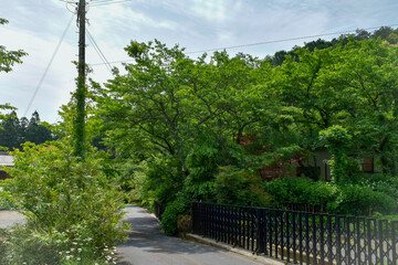 白毫寺境内の様子