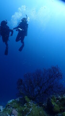scuba water diving sea