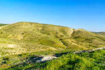 Fototapeta na wymiar Rural landscape of the Yatir region