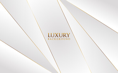 Luxury abstract light silver background vector. Elegant concept design with golden line