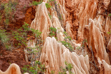 Red Sandstone Formations And Needles In Tsingy Rouge Park In Madagascar, Africa