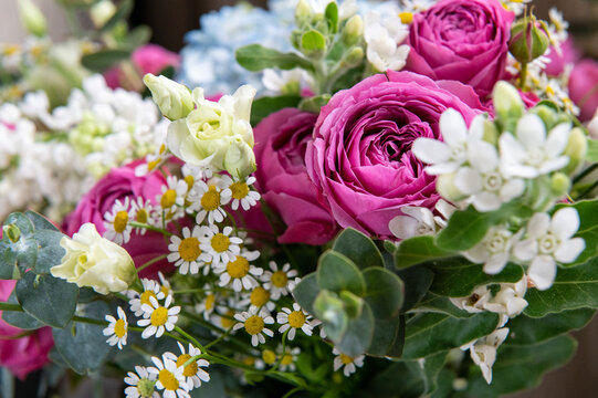 Bouquet of flowers in a vase