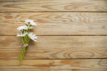 Obraz premium daisies on wooden background
