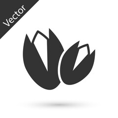 Grey Pistachio nuts icon isolated on white background. Vector