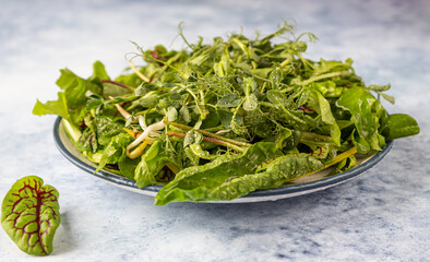 Fresh green mixed salad with microgreens with water drops on a plate, blue concrete background. Healthy food.