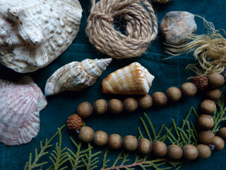 sea shells and sand