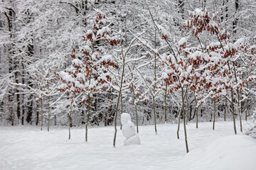 snow covered trees