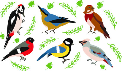 Bright colorful set of vector illustrations of various birds