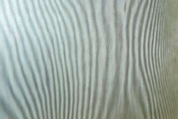 abstract colored wavy background of interference overlay fine meshes, combination of light and...