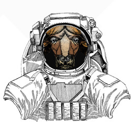 Wild astronaut animal in spacesuit. Deep space. Galaxy. Buffalo Bison mascot head. Animal portrait. © helen_f
