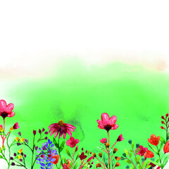 Fototapeta premium Wild flower decorations of spring season for decorations template