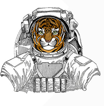 Baby tiger, small little tiger for children. Wild astronaut animal in spacesuit. Deep space. Galaxy.