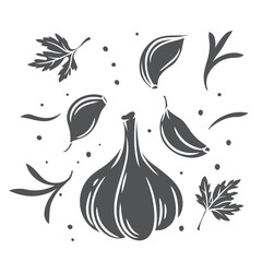 Falling garlic with herbs and spices vector cut glyph illustration. Cooking spicy food concept.