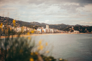 Fototapeta premium Spain weather. beach. tree. spanish 