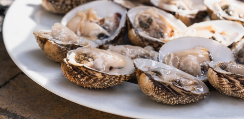 Opened raw cockles on white plate, mollusc ready to eat. A cockle is an edible, marine bivalve mollusc. Edible shellfish from Greece