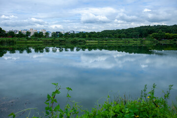 분당 율동공원의 호수에 반사된 풍경