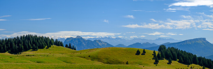 Fototapeta premium Alpage, prairie des montagnes dans les Alpes, là où l'on trouve les meilleurs fromages. Plateau du Semnoz, Massif des bauges