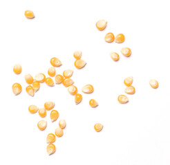 Popcorn corn - Raw grain