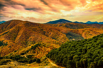 Hügelige bunte Berglandschaft mit Wald in der Sierra de las Nieves Andalusien