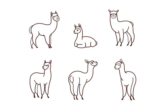 Cartoon alpaca in various poses. Сute animals set of icons. Contour vector illustration.