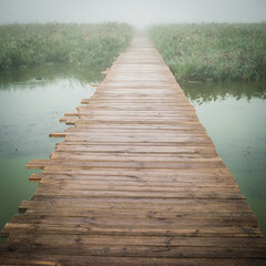 wooden bridge in the lake