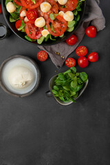 Delicious Italian caprese salad with sliced tomatoes and mozzarela on dark background.