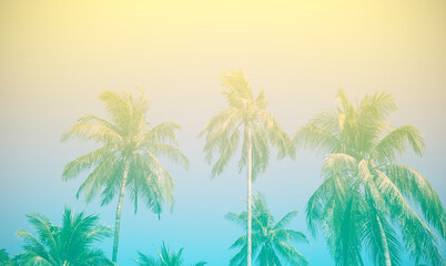 Banner View of Tropic of Palm trees at tropical beach coast and swimming pool  which summer holiday concept background