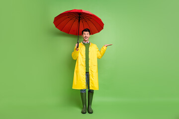 Full size photo of brunet impressed guy stand with umbrella wear cloak boots isolated on green color background