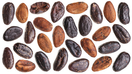 Cocoa beans isolated on white background.