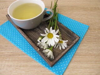 A cup of herbal tea with flowers from the ox-eye daisy