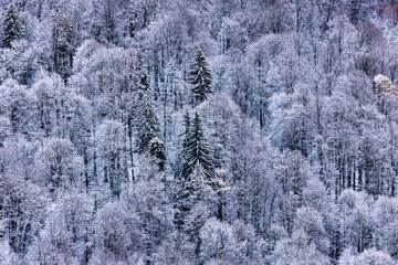 Beautiful winter landscape in the mountains, Bucegi Mountains Romania.