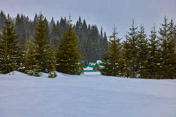 Fototapeta na wymiar winter landscape in the Bucegi Mountains Romania