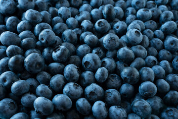 Fresh blueberry background. Texture blueberry berries close up