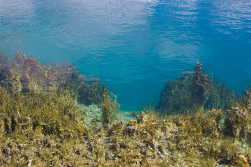 Lake Goluboye (Blue Lake), Samara region, Russia.